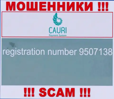 Регистрационный номер, который принадлежит мошеннической компании Каури Ком - 9507138