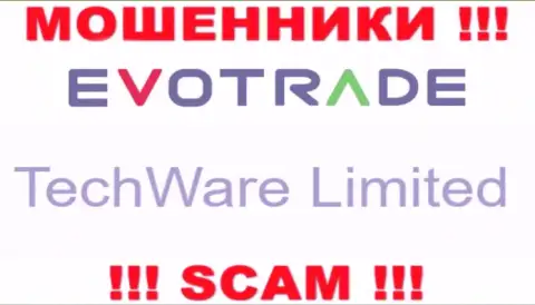 Юридическим лицом ЭвоТрейд Ком является - TechWare Limited