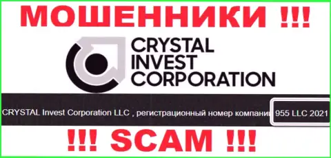 Регистрационный номер компании Crystal Invest Corporation, вероятнее всего, что ненастоящий - 955 LLC 2021