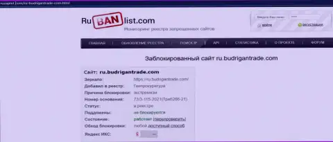 Веб-сервис BudriganTrade в РФ был заблокирован Генпрокуратурой