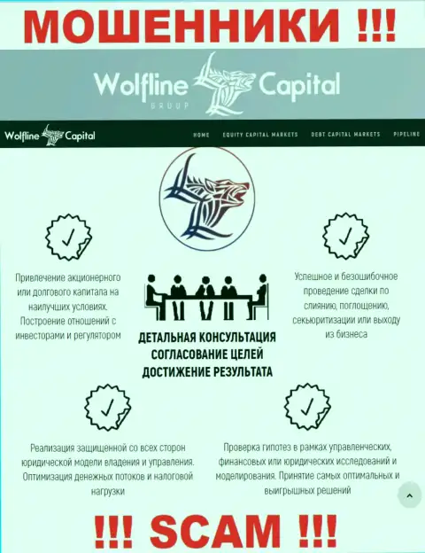 Не стоит верить, что область деятельности Wolfline Capital - Консалтинг законна - это лохотрон