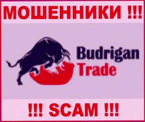 BudriganTrade Com - это ВОРЫ ! SCAM !!!